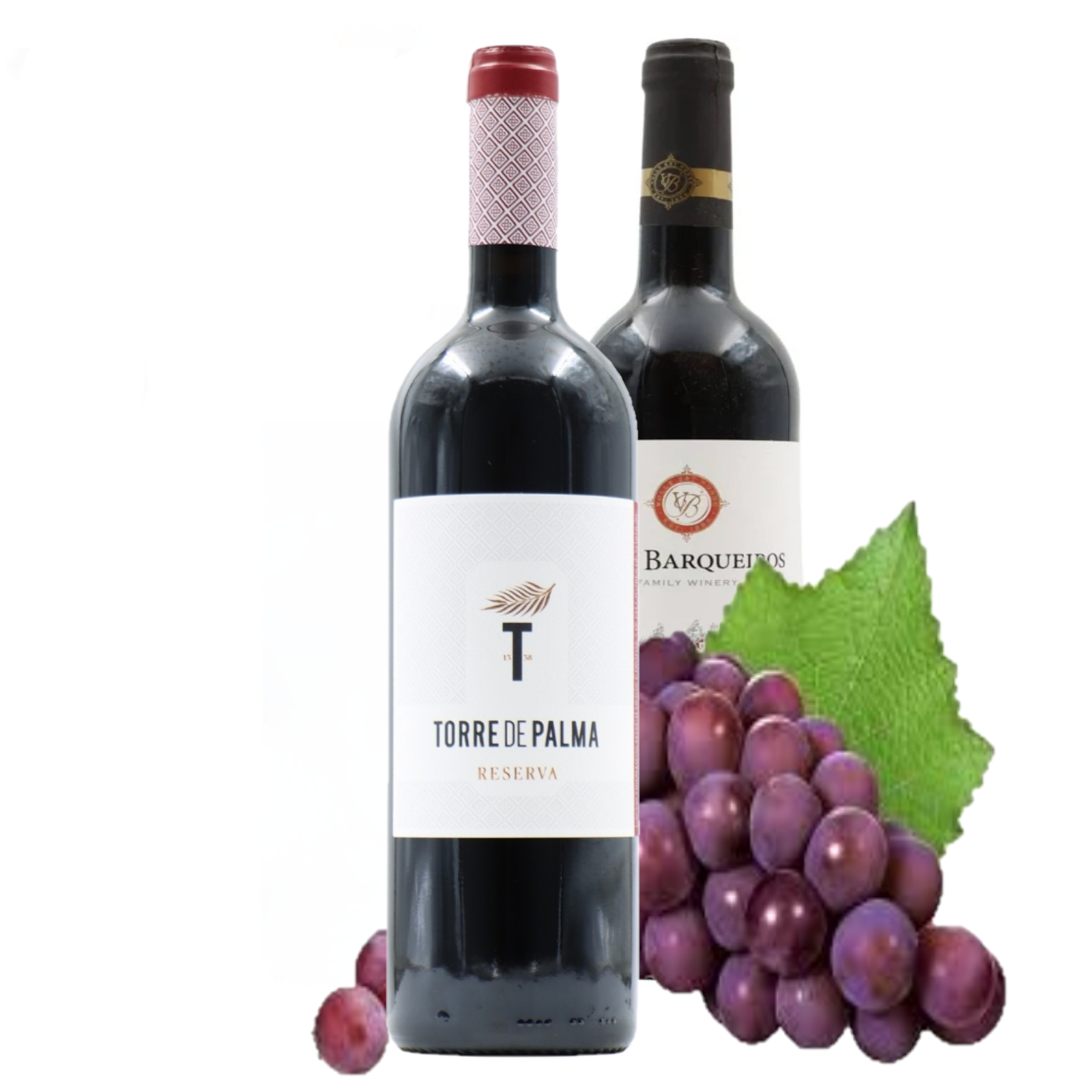 Vinhos